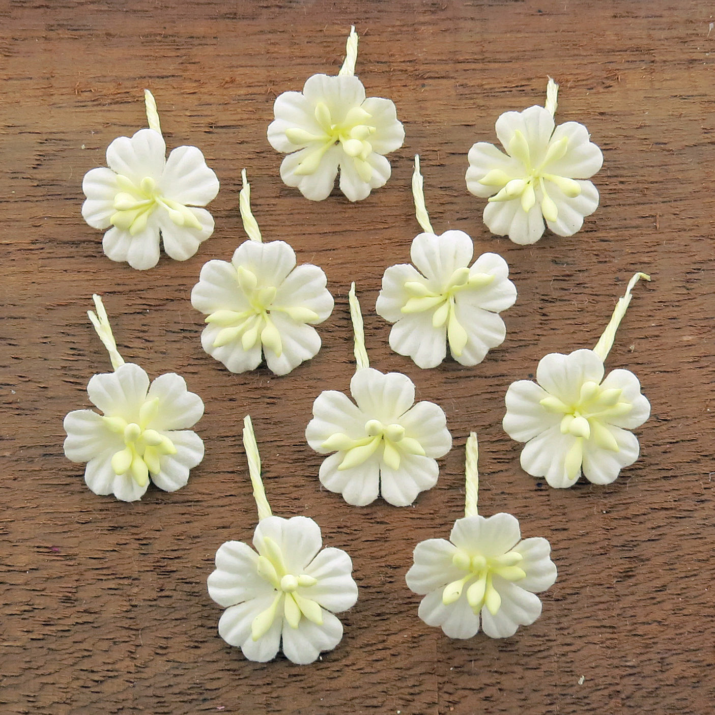 WHITE COTTON STEM MULBERRY PAPER FLOWERS - SET F - Click Image to Close